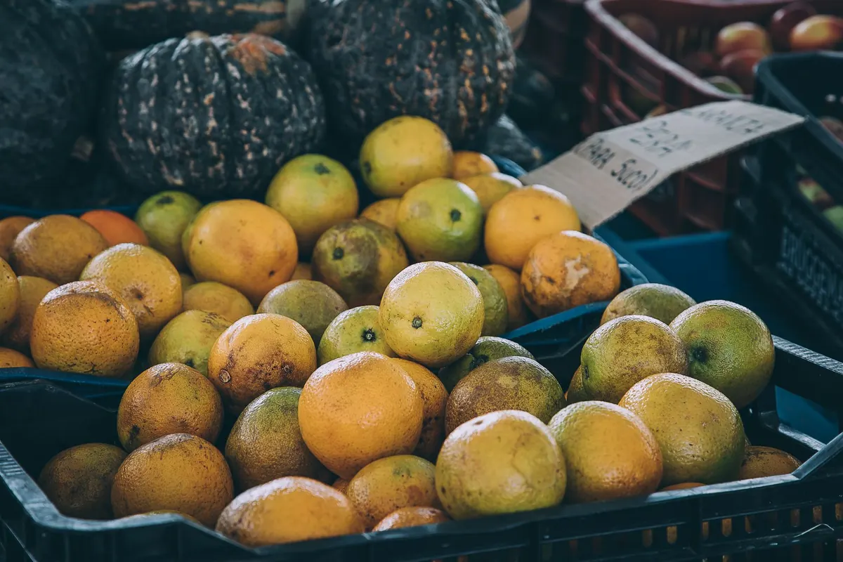 Seasonal Marmalade Calendar: Which Citrus to Preserve Month by Month